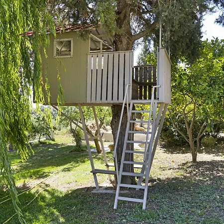 Monte Verde 101 Apartment